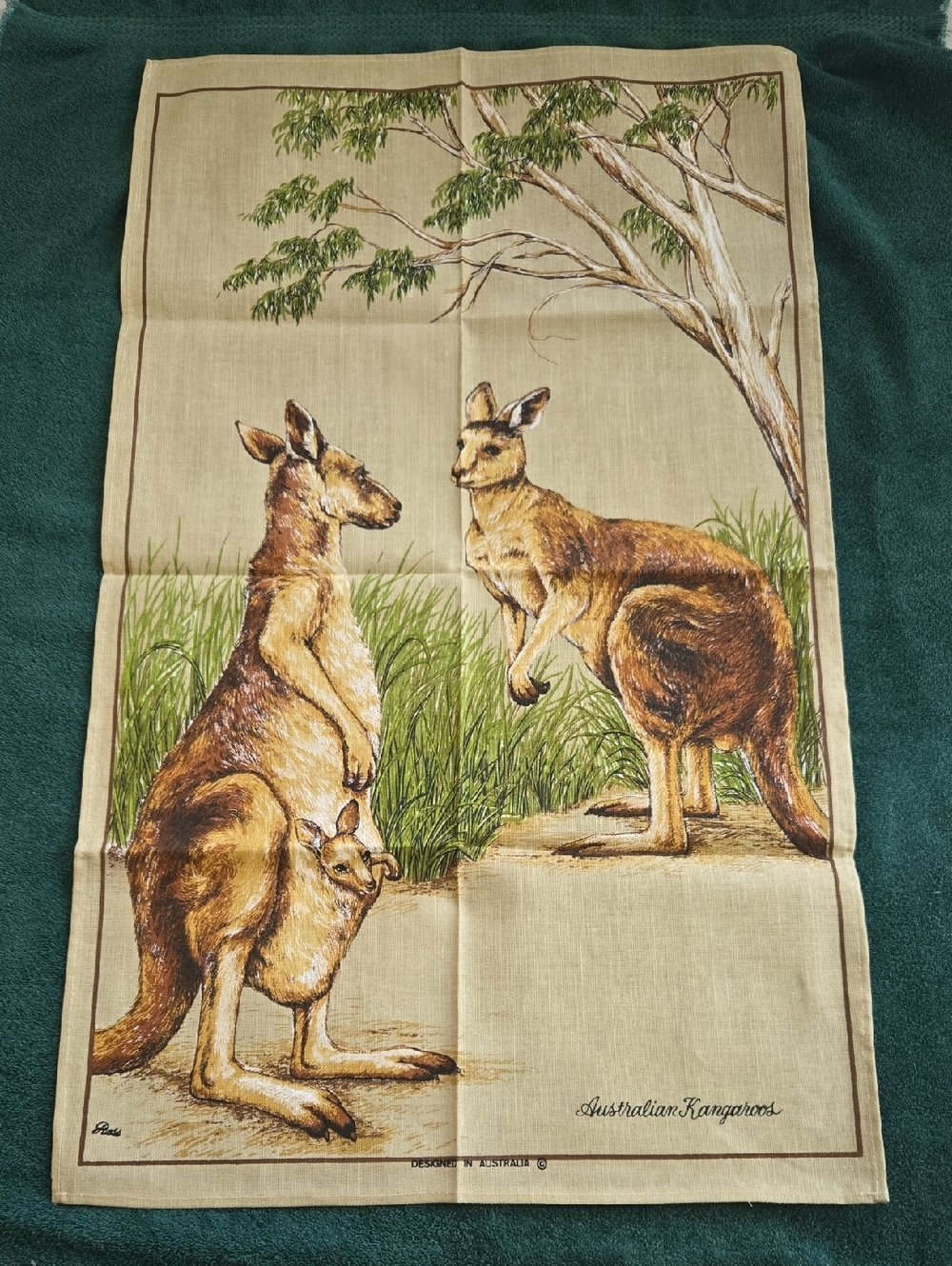 Australian Kangaroos Scenic Tea Towel - Brown & Green, Suitable For Framing